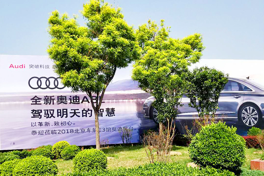 首页-BB贝博艾弗森公司官网