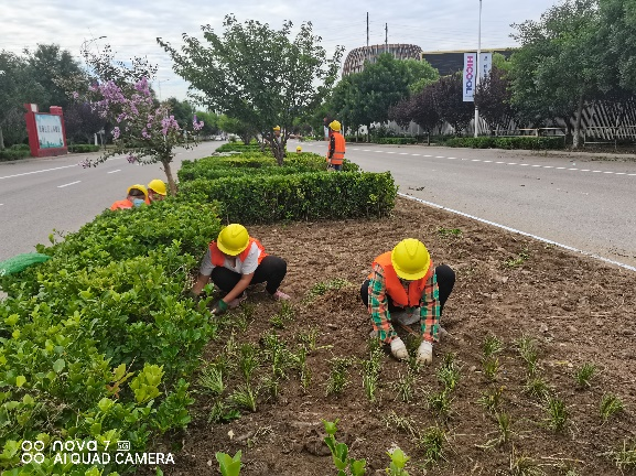 首页-BB贝博艾弗森公司官网