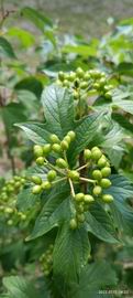 首页-BB贝博艾弗森公司官网