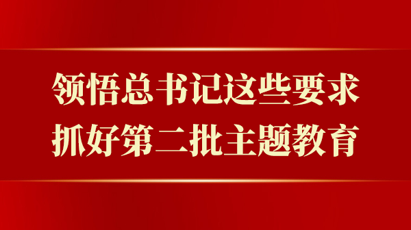 领悟总书记这些要求，抓好第二批主题教育